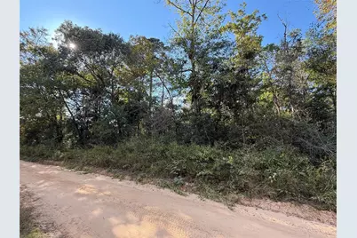 Tbd Lannie Blvd, Livingston, TX 77351 - Photo 1