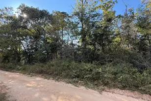 Tbd Lannie Blvd, Livingston, TX 77351 - Photo 1