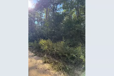 Tbd Lannie Blvd, Livingston, TX 77351 - Photo 5