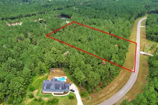 10940 Ruger Rd, Willis, TX 77378 - Photo 1