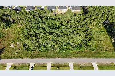 3171 Road 66125, Dayton, TX 77535 - Photo 3