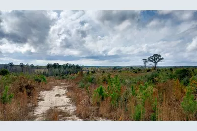 000 Pr 6150, Woodville, TX 75979 - Photo 15