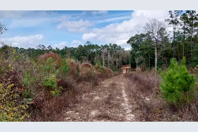 000 Pr 6150, Woodville, TX 75979 - Photo 9