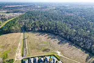 2672 Magnolia Fair Way, Spring, TX 77386 - Photo 39