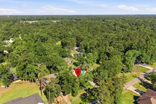 10985 Woods Ln, Cleveland, TX 77328 - Photo 49