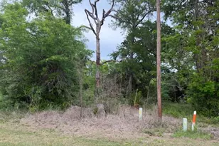 Lot 231 Scenic Woods Dr, Coldspring, TX 77331 - Photo 23
