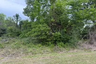 Lot 231 Scenic Woods Dr, Coldspring, TX 77331 - Photo 13