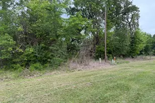 Lot 231 Scenic Woods Dr, Coldspring, TX 77331 - Photo 21