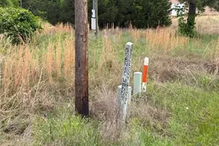 Lot 231 Scenic Woods Dr, Coldspring, TX 77331 - Photo 3