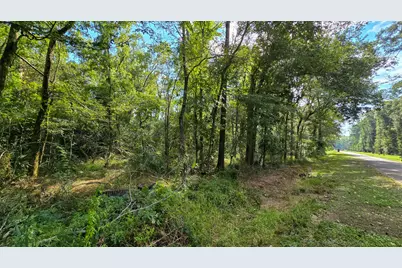 1 Cherry Laurel Ln, New Caney, TX 77357 - Photo 13