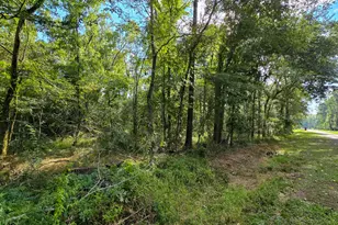 1 Cherry Laurel Ln, New Caney, TX 77357 - Photo 13