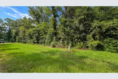 1 Cherry Laurel Ln, New Caney, TX 77357 - Photo 9