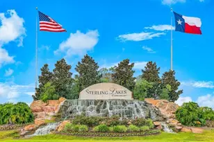 1315 Diamond Drape Dr, Rosharon, TX 77583 - Photo 33