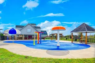 1315 Diamond Drape Dr, Rosharon, TX 77583 - Photo 35