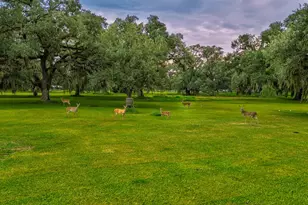 838 Lone Star Trail, Angleton, TX 77515 - Photo 39