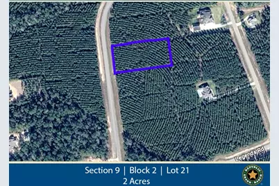 16246 Ridge Oak Road, Willis, TX 77378 - Photo 1