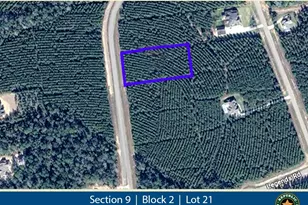 16246 Ridge Oak Rd, Willis, TX 77378 - Photo 1