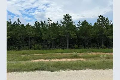 16246 Ridge Oak Road, Willis, TX 77378 - Photo 11
