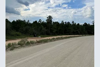 16246 Ridge Oak Road, Willis, TX 77378 - Photo 9