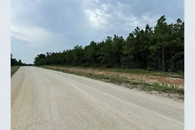 16246 Ridge Oak Road, Willis, TX 77378 - Photo 7