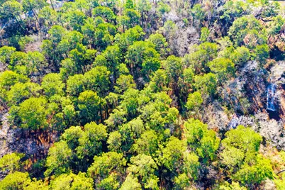 Lot 30 Cedar Court, Trinity, TX 75862 - Photo 11