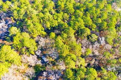 Lot 30 Cedar Court, Trinity, TX 75862 - Photo 3