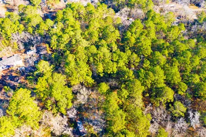 Lot 30 Cedar Court, Trinity, TX 75862 - Photo 15