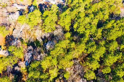 Lot 30 Cedar Court, Trinity, TX 75862 - Photo 5