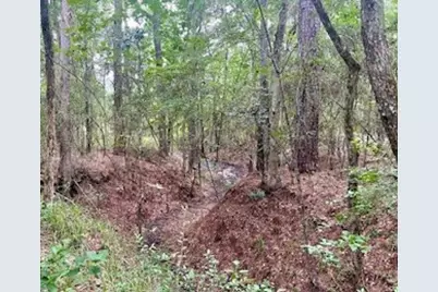 Lot 8 Block 22 Lonestar Road, Huntsville, TX 77340 - Photo 1