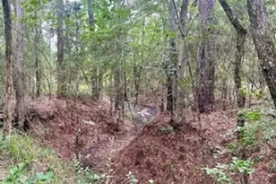 Lot 8 Block 22 Lonestar Rd, Huntsville, TX 77340 - Photo 1