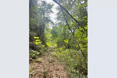 Lot 8 Block 22 Lonestar Road, Huntsville, TX 77340 - Photo 3