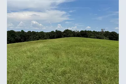 Tbd Tbd US Highway 287 N, Grapeland, TX 75844 - Photo 13