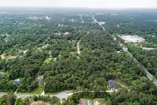 17827 Indigo Hills Dr, Magnolia, TX 77355 - Photo 1