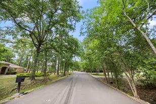 417 Rancho Bauer Dr, Houston, TX 77079 - Photo 11