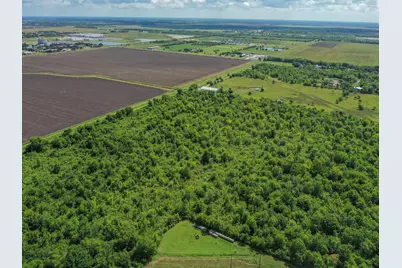 Tr 7 Fm 1462, Rosharon, TX 77583 - Photo 13
