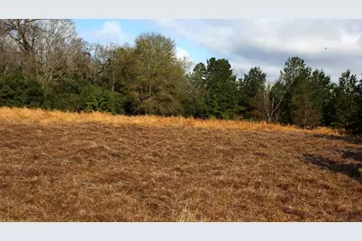 Tbd La Petite Court, Trinity, TX 75862 - Photo 3