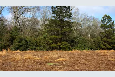 Tbd La Petite Court, Trinity, TX 75862 - Photo 7