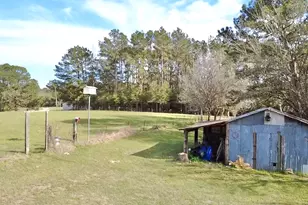 908 N Pitzer St, Colmesneil, TX 75938 - Photo 31