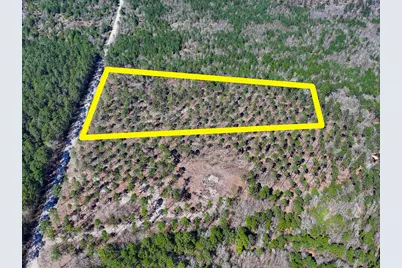01 Boontown Road, Trinity, TX 75845 - Photo 3
