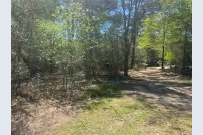 16442 Whippoorwill Road, Navasota, TX 77868 - Photo 3