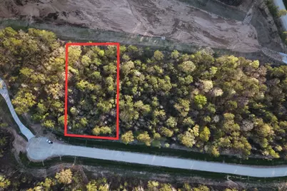 186 Bunkhouse Road, New Waverly, TX 77358 - Photo 3