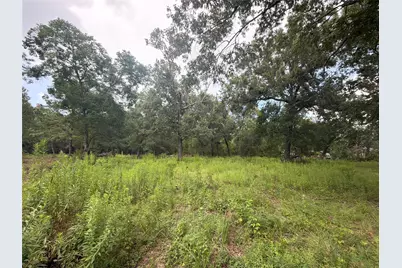 278 County Road 6502 W, Dayton, TX 77535 - Photo 3