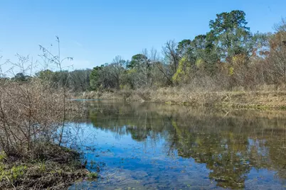 10802 County Road 203, Plantersville, TX 77363 - Photo 5