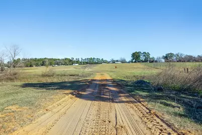 10802 County Road 203, Plantersville, TX 77363 - Photo 11
