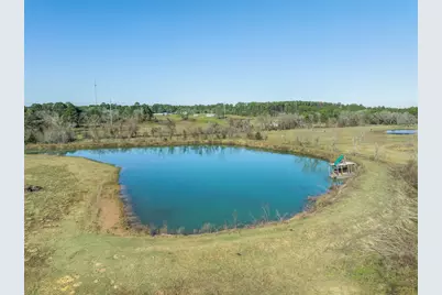 10802 County Road 203, Plantersville, TX 77363 - Photo 23