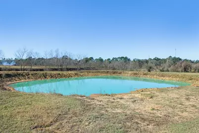 10802 County Road 203, Plantersville, TX 77363 - Photo 13