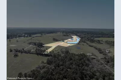 10802 County Road 203, Plantersville, TX 77363 - Photo 15