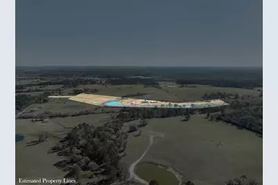 10802 County Road 203, Plantersville, TX 77363 - Photo 17
