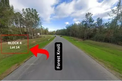 15628 Forest Knoll Road, Willis, TX 77378 - Photo 3