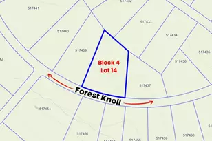 15628 Frst Knl Rd, Willis, TX 77378 - Photo 5